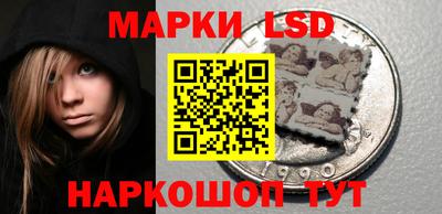 шишки Обь