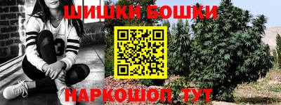 шишки Обь