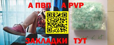 шишки Обь