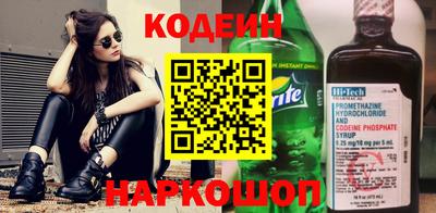 шишки Обь