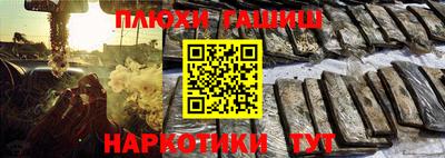 шишки Обь