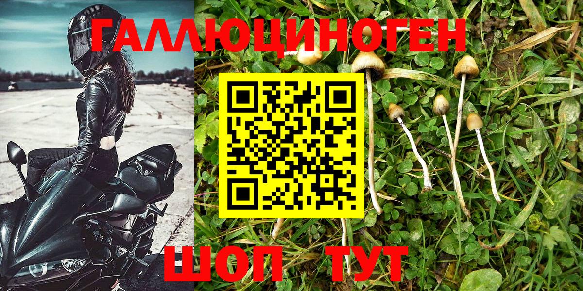Тобольск  Псилоцибиновые грибы MAGIC MUSHROOMS  цены   Вход с VPN 