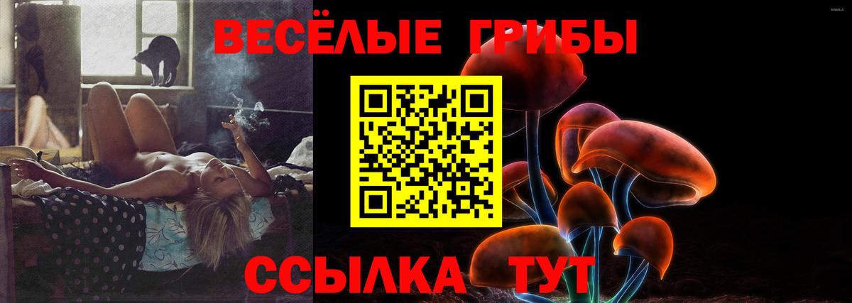 Галлюциногенные грибы Cubensis Тобольск